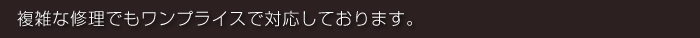 複雑な修理でもワンプライスで対応しております。