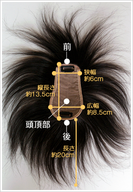 �T���v���ʐ^